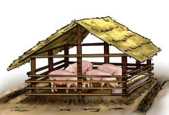 Fattening pig Pigsty Building