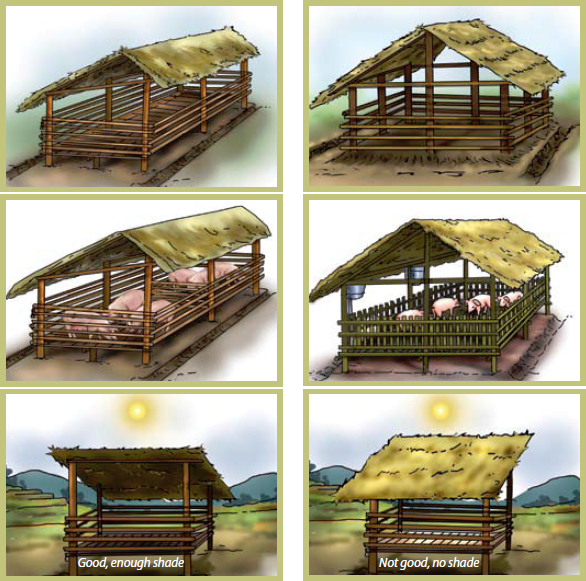 Different models/types of pig house/sheds.