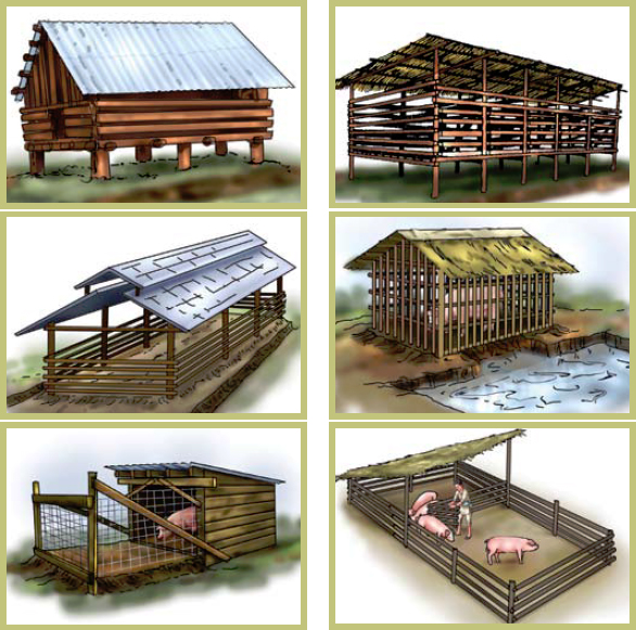 Different models/types of pig house/sheds.